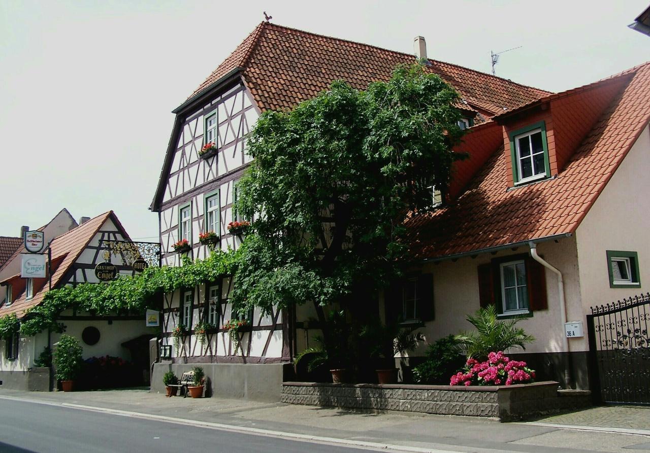 Hotel Zum Engel In Speyer - Roemerberg Berghausen  Экстерьер фото